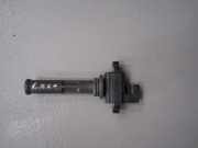 Zündspule Bravo 1.8 16V 182 Bj 1995