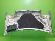 Motorhaube RENAULT TWINGO I (C06_) 1.2 (C066, C068) 7751473167