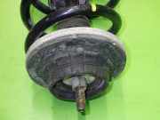 Federbein vorne links VW TRANSPORTER V Kasten (7HA, 7HH, 7EA, 7EH) 2.0 TDI 4motion