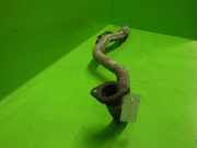 Auspuffrohr hinten FORD MAVERICK (UDS, UNS) 2.7 TD