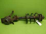Federbein vorne rechts FIAT SEICENTO / 600 (187_) 1.1 (187AXB, 187AXB1A, 187AXC1A02) 0051700257