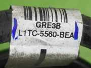 Feder hinten links FORD PUMA (J2K, CF7) 1.0 EcoBoost L1TC5560BEA