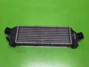 Ladeluftkühler FORD TRANSIT Bus (FD_ _, FB_ _, FS_ _, FZ_ _, FC_ _) 2.0 DI (F_E_ 2C119L440BB