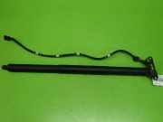 Gasdruckfeder Dämpfer hinten links BMW X3 (F25) xDrive 20 d 51247232003