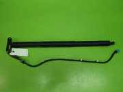 Gasdruckfeder Dämpfer hinten rechts BMW X3 (F25) xDrive 20 d 51247232004