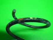 Feder vorne rechts RENAULT MEGANE I (BA0/1_) 1.4 e (BA0E, BA0V)