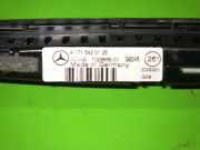 Warntonmodul PDC Parkdistanz hinten MERCEDES-BENZ A-KLASSE (W169) A 180 CDI (169.007, 169.307) A1715420123