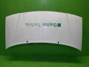 Motorhaube FIAT SCUDO Kasten (220L) 2.0 JTD 9464567688