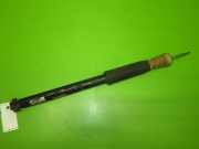 Stoßdämpfer hinten rechts MAZDA 3 (BK) 2.0 313 419