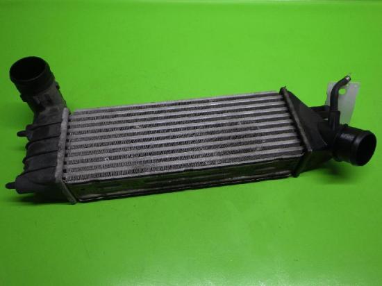 Ladeluftk?hler FIAT ULYSSE (179_) 2.2 JTD 1489396080 Bild Ladeluftk?hler FIAT ULYSSE (179_) 2.2 JTD 1489396080