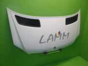 Motorhaube MERCEDES-BENZ SPRINTER 3-t Kasten (906) 213 CDI (906.611, 906.613) A906750000228