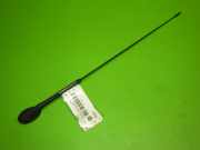 Radioantenne FORD FOCUS (DAW, DBW) 1.6 16V