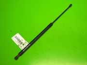 Gasdruckfeder Dämpfer hinten links NISSAN (DATSUN) X-TRAIL (T30) 2.2 Di 4x4 904508H310