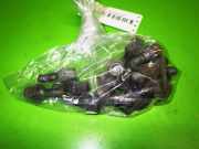 Radschraubensatz DACIA SANDERO II 1.2