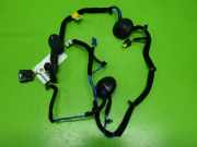 Kabelstrang Kabelbaum Tür hinten rechts HYUNDAI IONIQ (AE) 1.6 GDI Hybrid 91660G2011