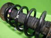 Federbein vorne links LAND ROVER FREELANDER 2 (FA_) 2.2 TD4 4x4 LR031665