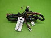 Kabelstrang Kabelbaum Tür hinten links LEXUS GS (GRS19_, UZS19_, GWS19_) 300