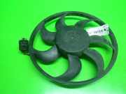 Lüfter OPEL ASTRA G Coupe (F07_) 1.8 16V 3136613267