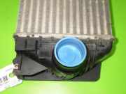 Ladeluftkühler MERCEDES-BENZ SPRINTER 3-t Kasten (906) 213 CDI (906.611, 906.613) A9065010201