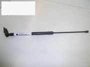 Gasdruckfeder Dämpfer hinten links NISSAN (DATSUN) MICRA II (K11) 1.5 D