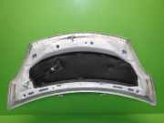 Motorhaube NISSAN (DATSUN) PIXO (UA0) 1.0 651004A00C