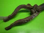 Federbein vorne links MITSUBISHI GALANT VI (EA_) 2.0 (EA2A)