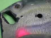 Unterfahrschutz hinten links OPEL ASTRA K (B16) 1.5 CRDI (68) 39117178