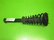 Federbein vorne links NISSAN (DATSUN) PRIMERA (P10) 2.0 16V