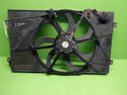 Lüfter VW TOURAN (1T1, 1T2) 2.0 EcoFuel 1K0959455DM