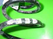 Feder hinten links VW GOLF V Variant (1K5) 1.6 1K0511115BE