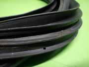 Türgummi Türdichtung vorne links FORD KA (RU8) 1.2 1824565
