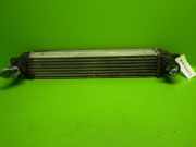Ladeluftkühler CHEVROLET CAPTIVA (C100, C140) 2.0 D 4WD 96629070