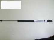 Gasdruckfeder Dämpfer hinten links FORD ESCORT IV (GAF, AWF, ABFT) 1.3