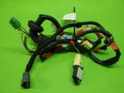 Kabelstrang Kabelbaum Tür links CITROEN C1 (PM_, PN_) 1.0 821520H030H