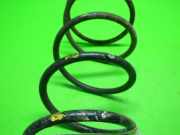 Feder vorne links FIAT PUNTO (176_) 55 1.1