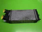 Ladeluftkühler CITROEN BERLINGO (MF) 1.6 HDI 90 (MF9HX) IA1322