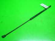 Gasdruckfeder Dämpfer vorne links ALFA ROMEO GTV (916C_) 2.0 T.SPARK 16V (916.C2__, 916C2C00)