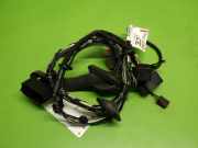 Kabelstrang Kabelbaum Tür vorne rechts FORD GALAXY (WA6) 2.0 7G9T14K138JCE