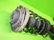 Federbein vorne links PEUGEOT 306 Break (7E, N3, N5) 1.6