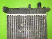 Wasserkühler FORD FIESTA IV (JA_, JB_) 1.3 i 1098806