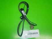 Kabelstrang Kabelbaum RENAULT TWINGO II (CN0_) 1.2 16V (CN04, CN0A, CN0B)