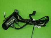 Kabelstrang Kabelbaum Tür links PEUGEOT 1007 (KM_) 1.6 16V 9657304780