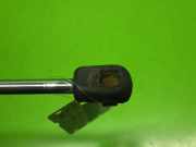 Gasdruckfeder Dämpfer hinten links AUDI (NSU) A6 (4A, C4) 2.0