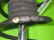 Federbein vorne links BMW 5 Touring (E61) 520 d 31316768796