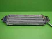 Ladeluftkühler NISSAN (DATSUN) PRIMASTAR Kasten (X83) dCi 100 817554