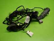 Kabelstrang Kabelbaum Tür vorne rechts OPEL INSIGNIA B Grand Sport (Z18) 1.5 (68) 39226846