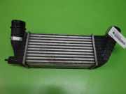 Ladeluftkühler CITROEN C8 (EA_, EB_) 2.0 HDi 135 530048