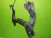 Aggregateträger Motorträger AUDI (NSU) 100 (4A, C4) 2.3 E