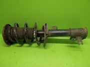 Federbein vorne rechts OPEL VECTRA C Caravan (Z02) 1.9 CDTI (F35) 312612