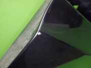 Tür hinten links TESLA MODEL X 90D AWD